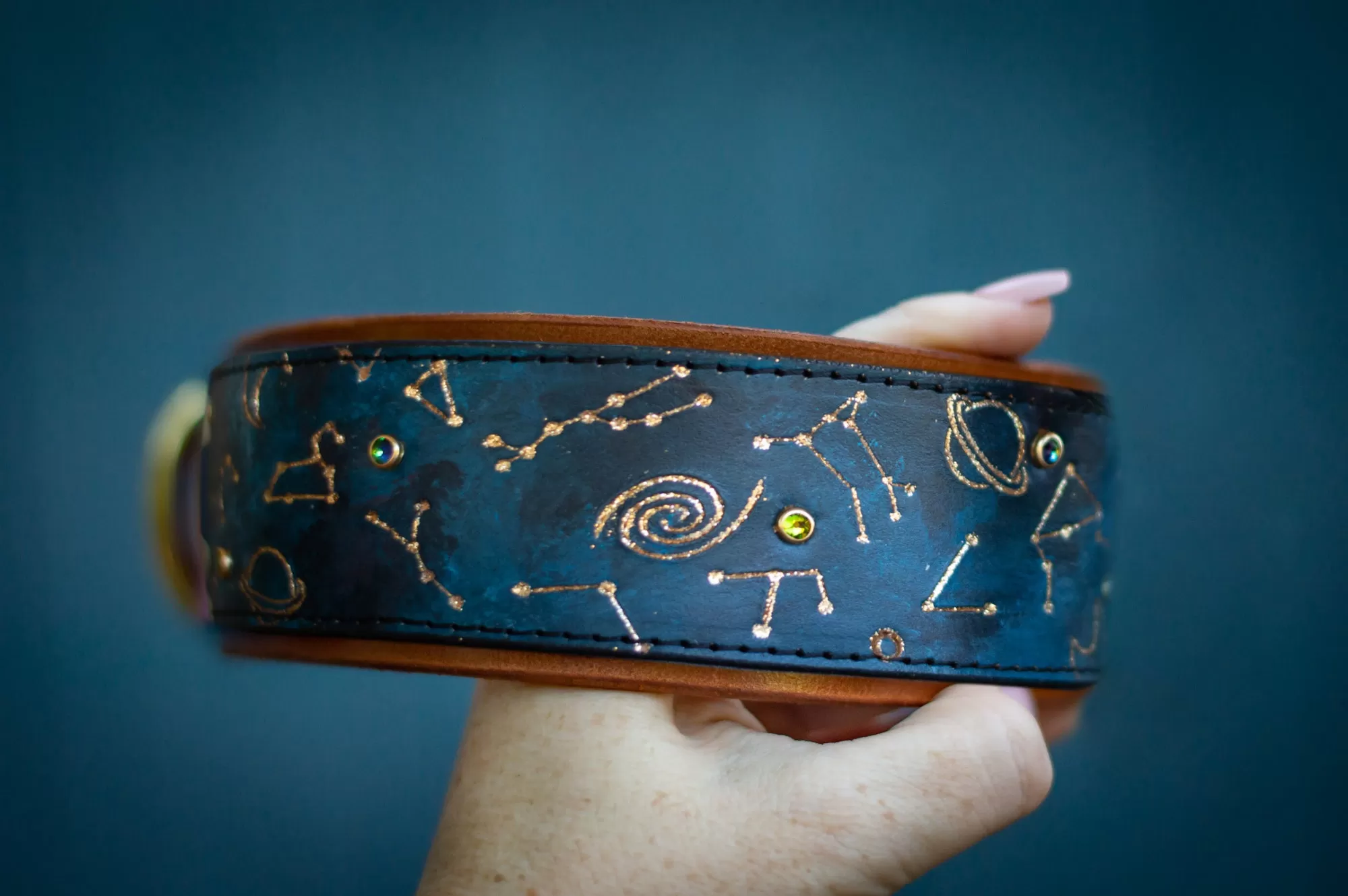 Constellations / Astrology / Zodiac / Celestial Dog Collar