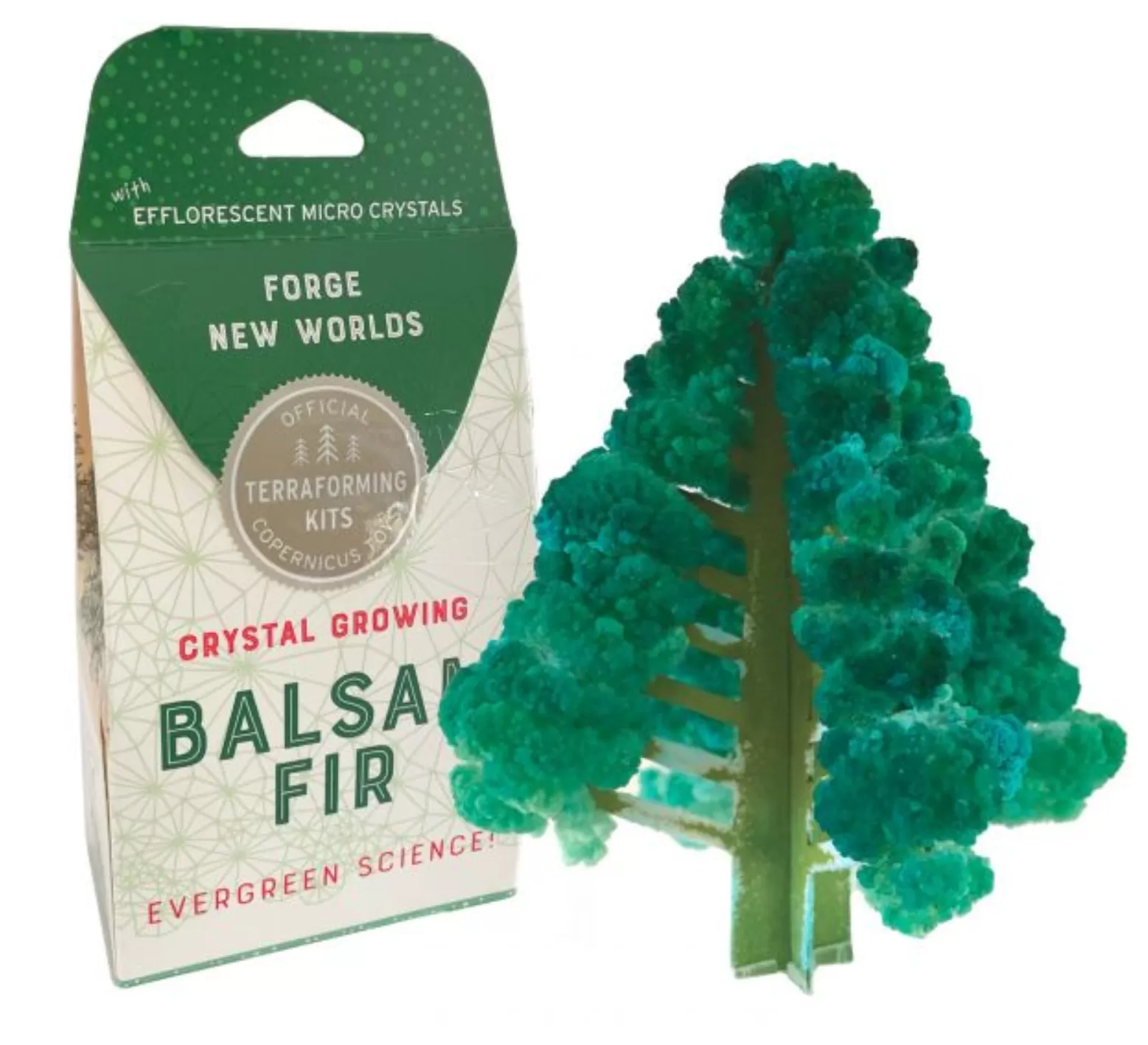 Crystal Growing Balsam Fir