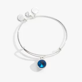 December Birthstone Charm Bangle, Blue Zircon