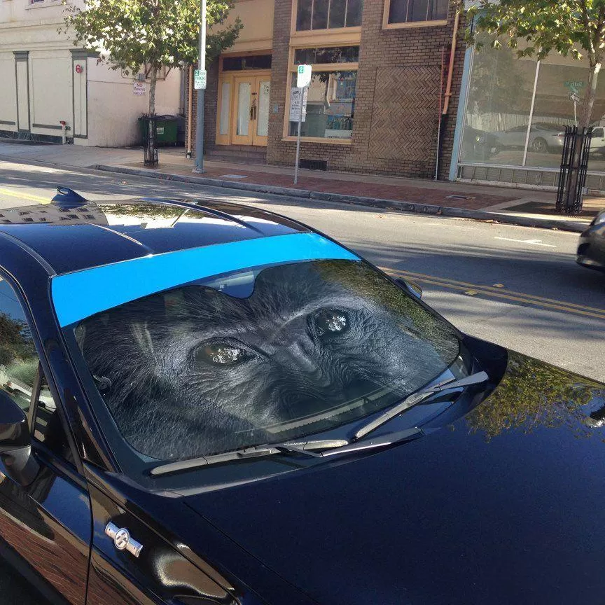 Gearhuman 3D Ape Eyes Sunshade