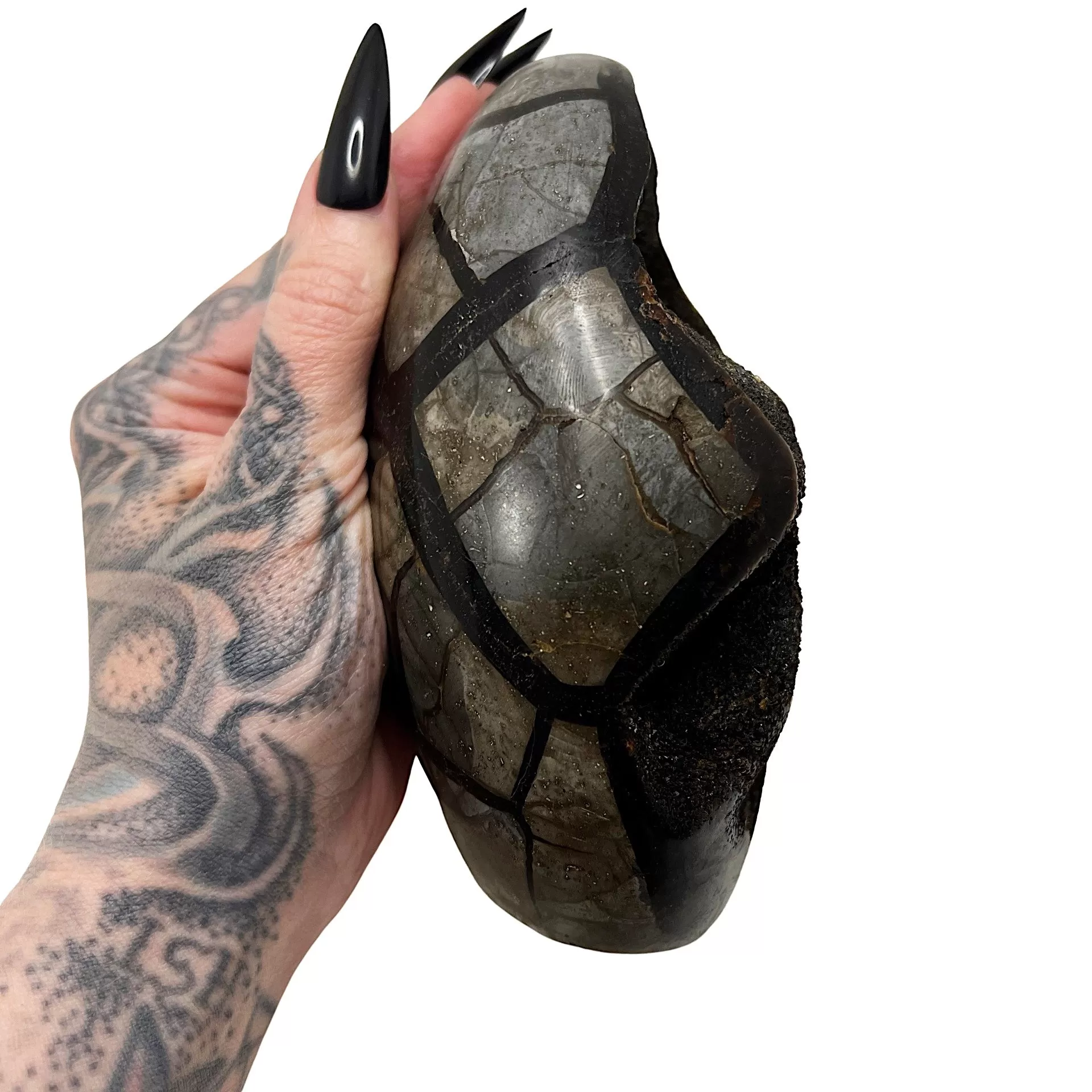 Septarian Dragon's Egg 1 *free shipping*